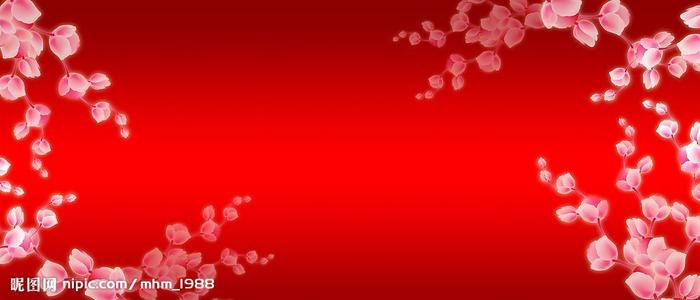 毕业生档案查询系统